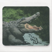 Vintage Krokodile Reptilien, Meerestierleben Mousepad (Vorne)