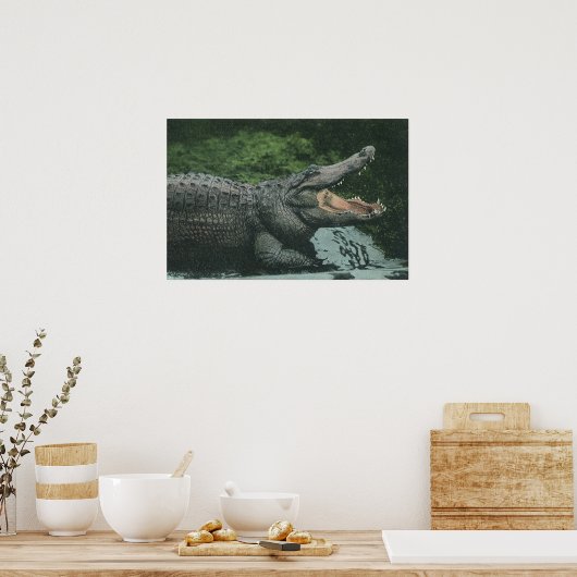 Vintage Krokodile Reptilien, Meerestierleben Poster (Küche)