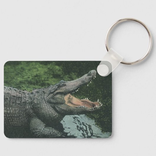 Vintage Krokodile Reptilien, Meerestierleben Schlüsselanhänger (Vorderseite)