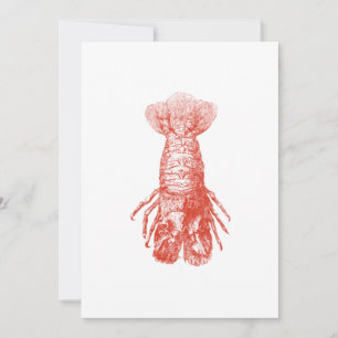 Vintage-Krustentier-Biologieillustration