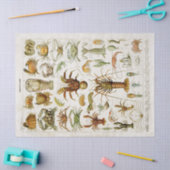 Vintage Krustentiere: Meereslebewesen Seidenpapier (Basteln)