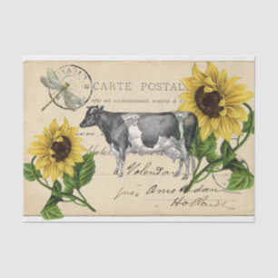 Vintage-Kuh-gelbes-Sonnenblumen-Postkarten-Tissue- Seidenpapier