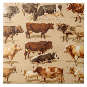 Vintage-Kuh-Kalb-Stier-Milchkühe-Landwirtschaft-Il Fliese