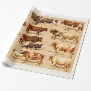 Vintage-Kuh-Kalb-Stier-Milchkühe-Landwirtschaft-Il Geschenkpapier