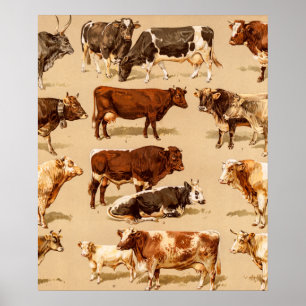 Vintage-Kuh-Kalb-Stier-Milchkühe-Landwirtschaft-Il Poster