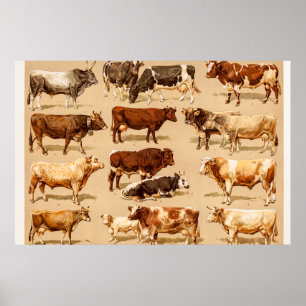 Vintage-Kuh-Kalb-Stier-Milchkühe-Landwirtschaft-Il Poster