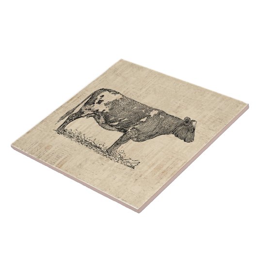 Vintage Kuh-Kunstdarstellung mit Skriptuntergrund Fliese (Seite)