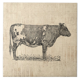 Vintage-Kuh-Kunstillustration mit Schrift-Hintergr Fliese