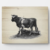 Vintage Kuhllustration Fotoplatte (Vorderseite)