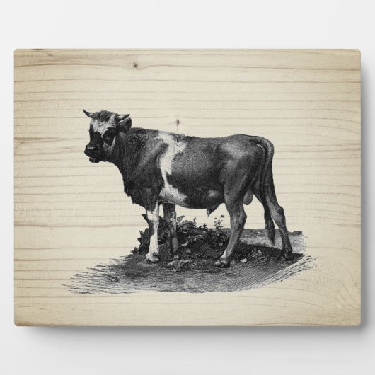 Vintage Kuhllustration Fotoplatte (Vorderseite)