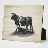 Vintage Kuhllustration Fotoplatte (Seite)