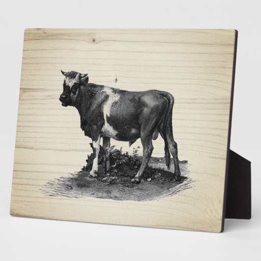 Vintage Kuhllustration Fotoplatte (Seite)