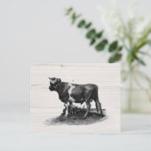 Vintage Kuhllustration Postkarte (Stehend Vorderseite)