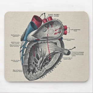 Vintage-Kunst Anatomisches Herzdiagramm - Wissensc Mousepad