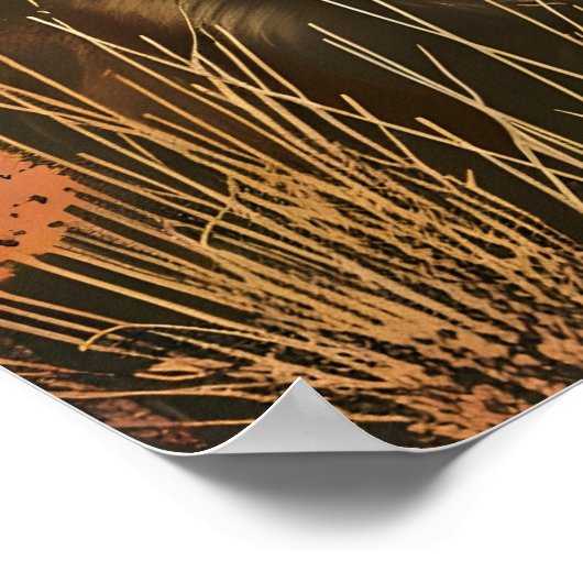 Vintage Kunst der Coyote Poster (Ecke)