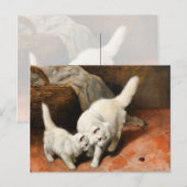 Vintage Kunst der persischen Katze Postkarte (Vorne/Hinten)