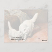 Vintage Kunst der persischen Katze Postkarte (Rückseite)