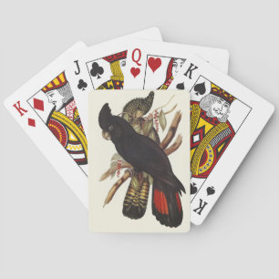 Vintage-Kunst des Rotschwanz-Raben kakadus von Joh Spielkarten