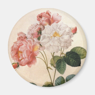 Vintage-Kunst-Rosa-Rosen-Blumen-Kühlschrankmagnet Magnet