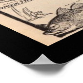 Vintage Kunst, Süßwasserfisch und Salzwasser Poster (Ecke)