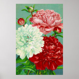 Vintage Kunst Vintage Blumenzwiebeln Printmedien Poster