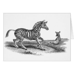 Vintage Kunst-Zebra-und Fohlen-Tier-Karte