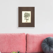 Vintage Kunst Zeichnend Leinwand des botanischen O (Insitu (Wohnzimmer))