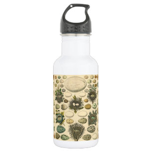Vintage Kunstmalerei von Vogeleiern im Nest Naturg Edelstahlflasche