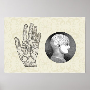 Vintage Kunstpalmisten- und Phrenologie-Diagramme Poster