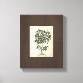 Vintage-Kunstzeichnung Botanischer Olivenbaum Lein Leinwanddruck