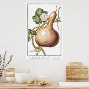 Vintage KürbisIllustration von Giorgio Bonelli Poster