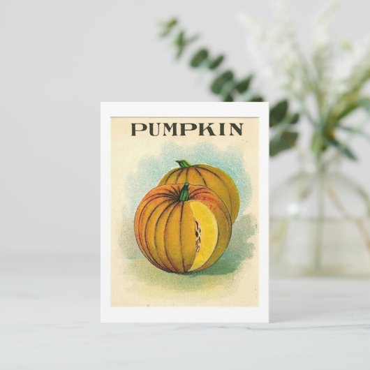 Vintage Kürbiskernpackung Postkarte (Stehend Vorderseite)