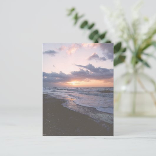 Vintage Küste South Carolina Postkarte (Stehend Vorderseite)