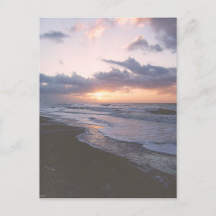 Vintage Küste South Carolina Postkarte