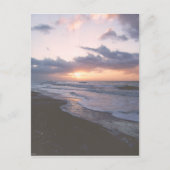 Vintage Küste South Carolina Postkarte (Vorderseite)