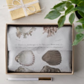 Vintage Küstenseashell Seidenpapier (Geschenk)