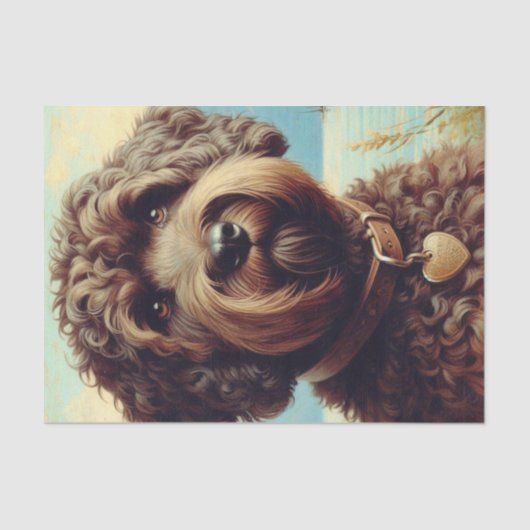 Vintage Lagotto Romagnolo Malerei Seidenpapier (Vorderseite)