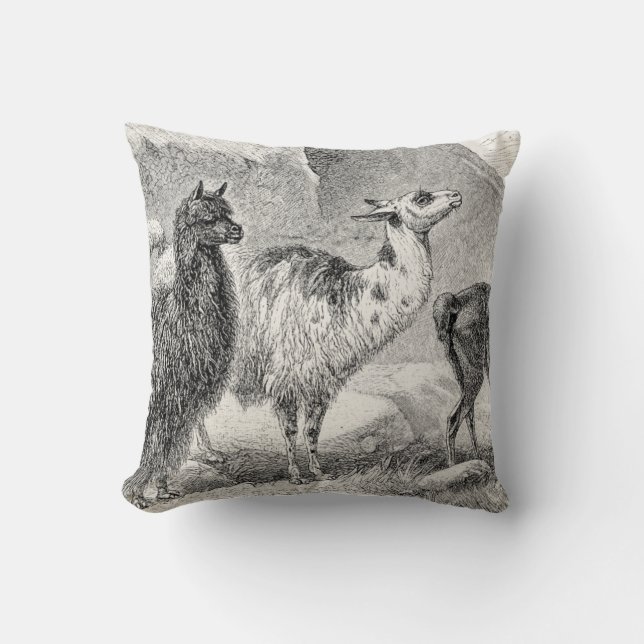 Vintage Lama-Alpaka-Schablonen-Lama-Alpakas Kissen (Vorderseite)