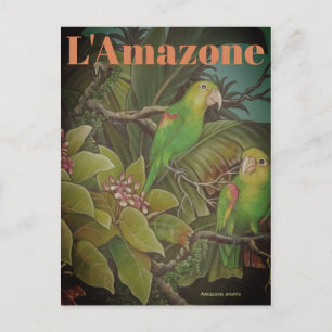 Vintage L'Amazone Reise-Postkarte Postkarte