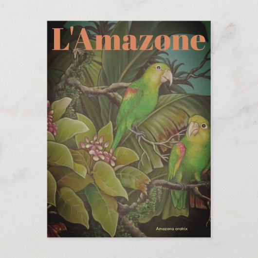 Vintage L'Amazone Reise-Postkarte Postkarte (Vorderseite)