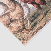 Vintage Ländergruppen Party Seidenpapier (Ausschnitt)