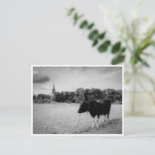 Vintage Landschaft mit Kuh schwarz/weiß Postkarte (Stehend Vorderseite)