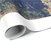 Vintage Landschaftsfotografie Geschenkpapier (Rolleneckpunkt)