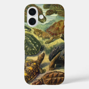 Vintage Landschildkröten und Meeresschildkröten vo iPhone 16 Hülle