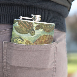 Vintage Landschildkröten und Meeresschildkröten vo Flachmann