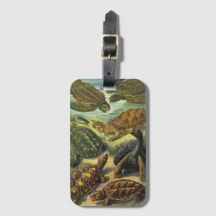 Vintage Landschildkröten und Meeresschildkröten vo Gepäckanhänger