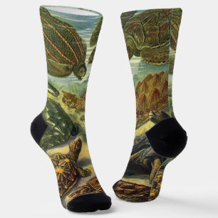 Vintage-Landschildkröten und Meeresschildkröten vo Socken