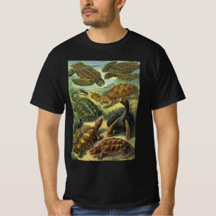 Vintage Landschildkröten und Meeresschildkröten vo T-Shirt