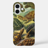 Vintage-Landschildkröten von Ernst Haeckel