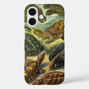 Vintage-Landschildkröten von Ernst Haeckel iPhone 16 Hülle